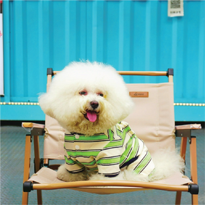 Pawsitivity's Premium T-shirt for Dog and Cat - The Masterpiece Stripe Shirt. Featuring a unique and playful design that makes your dog and cat the star of the universe! This t-shirt is meticulously handcrafted by our skilled tailors, enjoy the premium quality and stunning style.