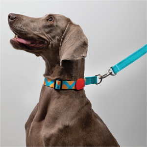 Pawsitivity's Adjustable Half Slip Dog Collar in Sunrise Adventure - Ensures Safety and Comfort Pet Walk with Half Slip Design, Heavy-Duty Quick Snap Buckle, Adjustable Length, and Reflective Line for Night Safety Walks.