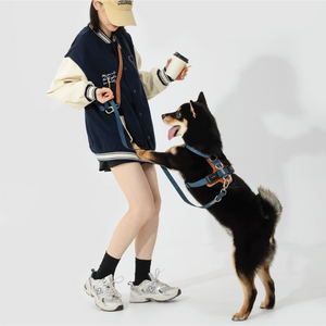 Explore a New Level of Walking Freedom with Pawsitivity's Multifunctional Dual Dog Leash, with the options to carry two dogs at the same time. Enjoy this hands-free dog walks wonder and flexibility.