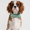 Discover Pawsitivity Fashionable Accessory Bowtie for Dogs and Cats  - Baby Blue and Lemon Yellow Check Pattern, Elastic Band Ensures Secure Fit, Adds a Pop of Color to Your Pet's Look.