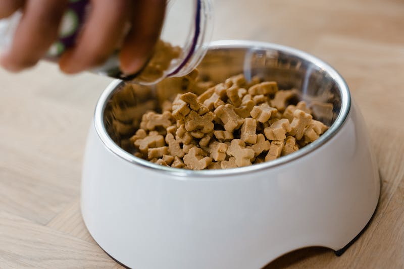 Grain-Free Pet Food: Exploring the Pros and Cons
