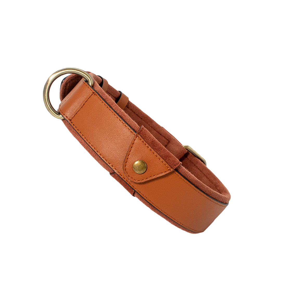 Elevate your pet's style and comfort with Pawsitivity's Leather Dog Collar. Crafted from top-grain leather for superior durability, it's perfect for outdoor adventures. Design with an air-tag pocket to put your pet's tracking device for your pets safety. Shop now for quality you can trust!