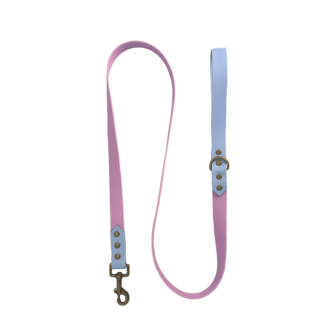 Pawsitivity Waterproof Dog Leash