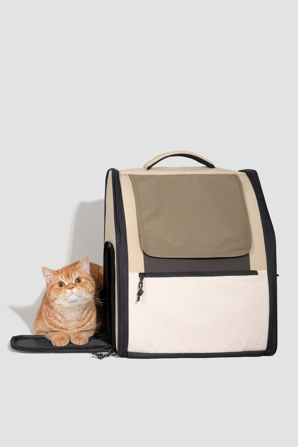 Discover Pawsitivity's high-end Pet Carrier - the Spacious Pet Backpack. It's the ultimate blend of fashion and functionality. Carry your pet in style. Shop now!