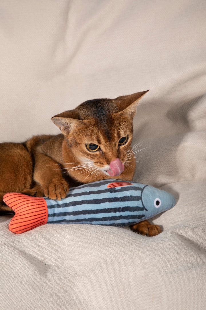 Embark on a delightful adventure with Pawsitivity's colorful catnip toy! Crafted with washable plush cloth and polyester cotton, offers durability and easy maintenance. The built-in bell and catnip filling will captivate your cats and kittens, providing endless fun and excitement. Ensures they stay active and happy. Shop Now!