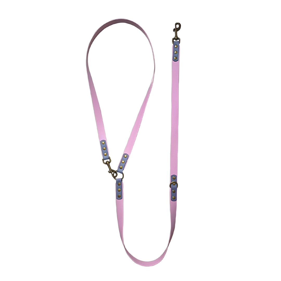 Pawsitivity Waterproof Dog Leash