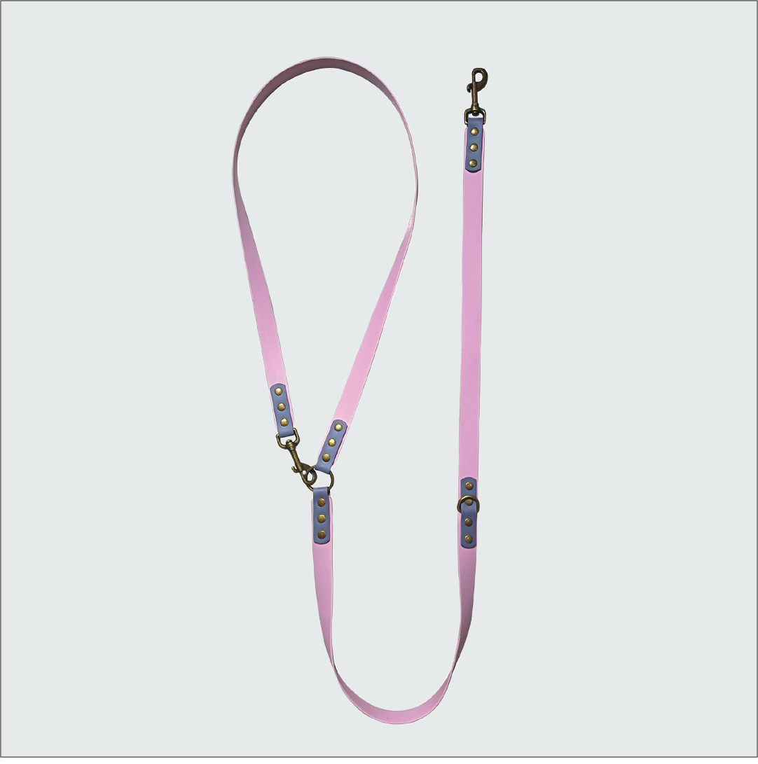 Unleash adventures with Pawsitivity's waterproof dog leash, designed for any climate. Switch easily between hands-free and standard styles. Shop now for ultimate outdoor bonding.