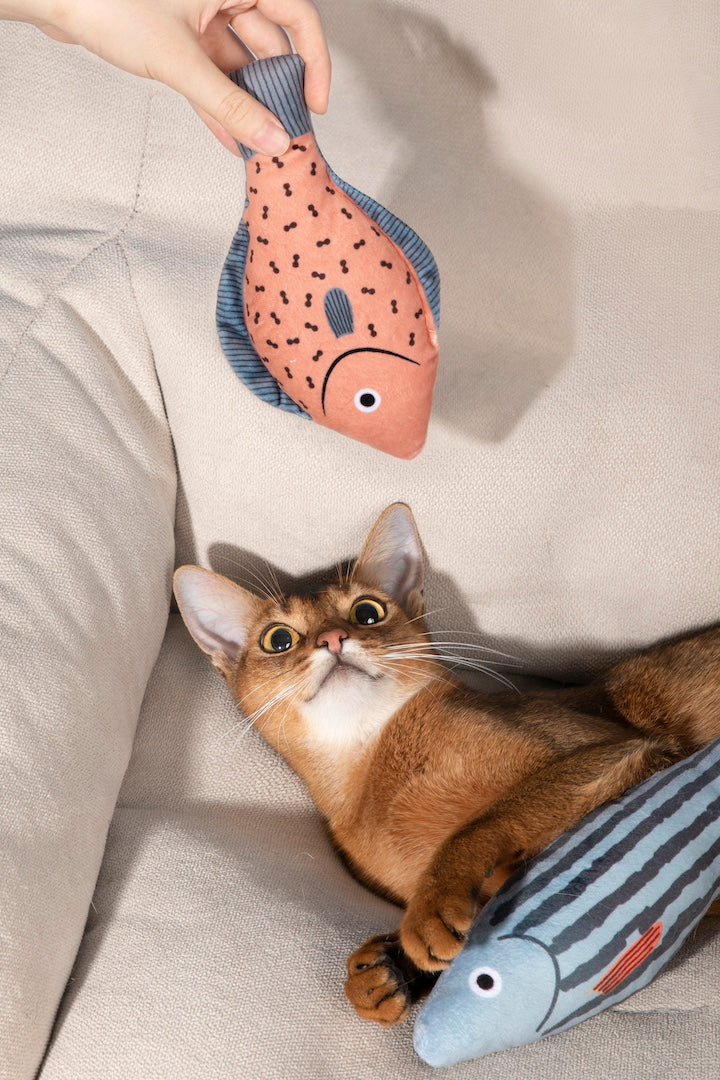 Embark on a delightful adventure with Pawsitivity's colorful catnip toy! Crafted with washable plush cloth and polyester cotton, offers durability and easy maintenance. The built-in bell and catnip filling will captivate your cats and kittens, providing endless fun and excitement. Ensures they stay active and happy. Shop Now!