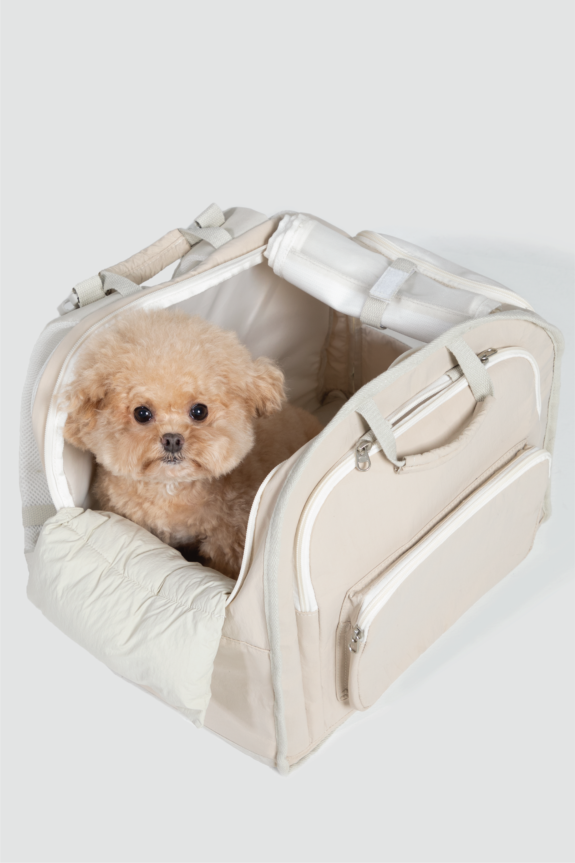 Shop Pawsitivity's Winter Pet Carrier, this pet carrier can be carried by hand or worn as a backpack. The luggage strap on the back makes it a breeze to attach to your suitcase for seamless travel. Made from waterproof nylon fabric to keep your pet dry and comfortable, even on rainy days. Shop Now for the Best Price!