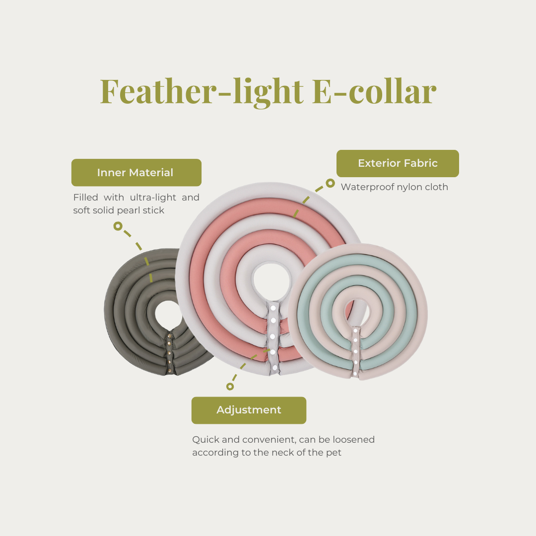Feather-Light Bliss for Your Pet: Comfortable Pet E-Collar tailored with clean and fresh designs. Choose from an array of colors and sizes. Shop Pawsitivity Toronto - Your Premium Pet Supplies