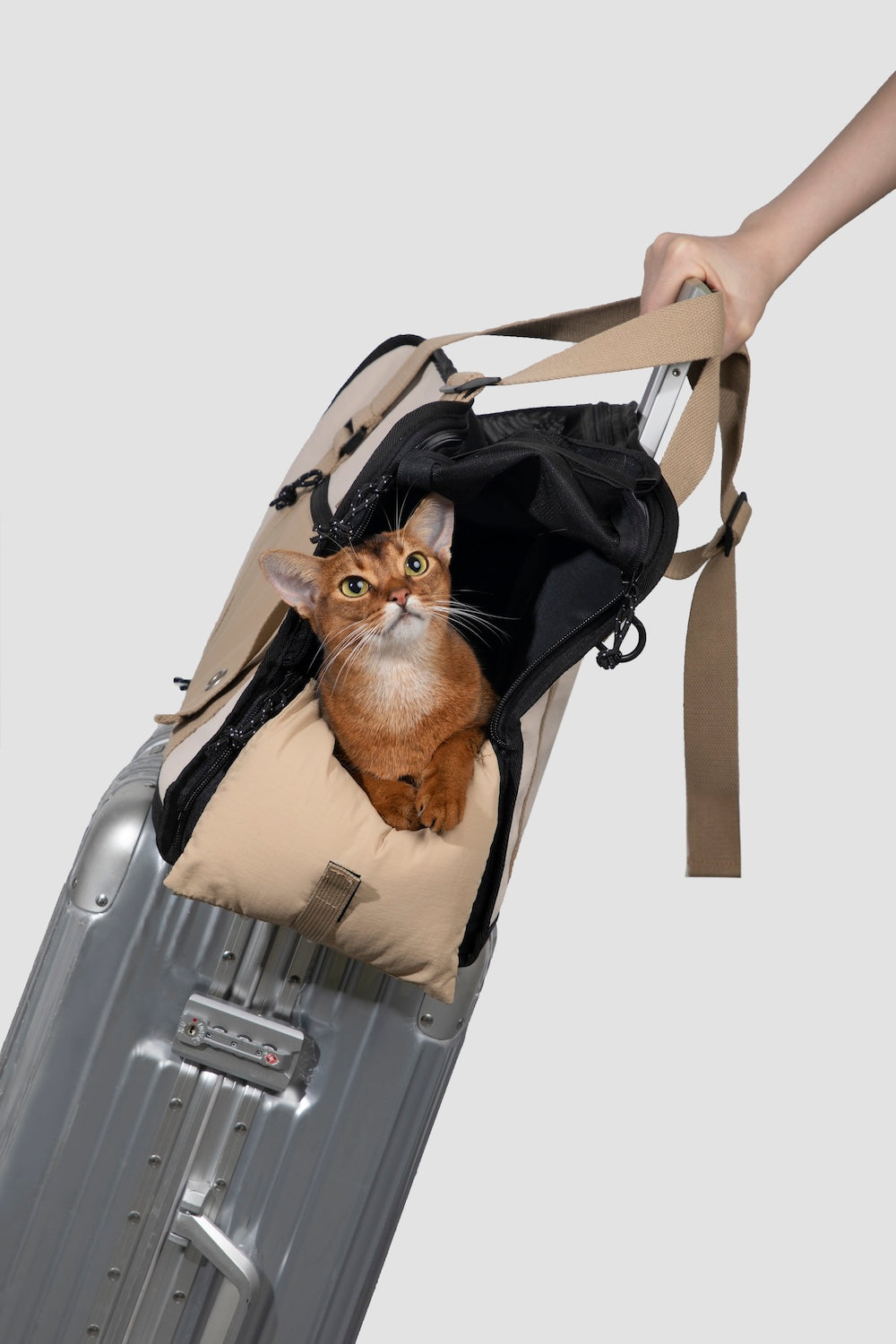 Pawsitivity's Pet Carrier: Airline-compliant travel bag for your dogs and cats. Back pocket for attachment to suitcase handles Suitable for 24-28 inch suitcases, serves as additional storage pocket. Order Yours Today!