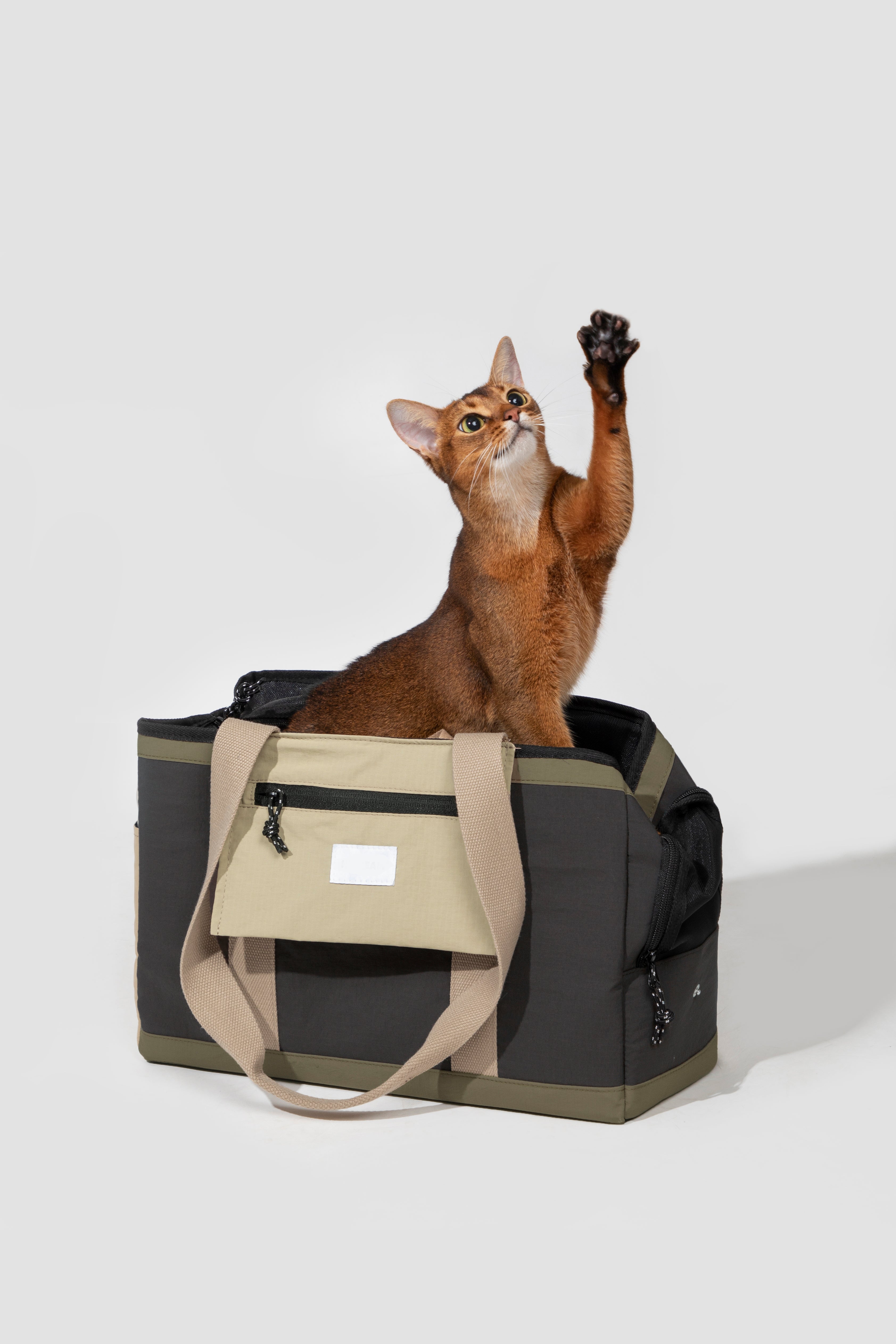 Prioritize safety and ease with Pawsitivity's breathable single-shoulder pet carrier. The safety buckle inside prevents escapes during outdoor activities, and the two-way anti-escape zipper with reflective strips ensures practicality and smooth operation. Weighing only 730 grams, this lightweight bag is a burden-free travel companion, offering peace of mind and comfort for both you and your pet.