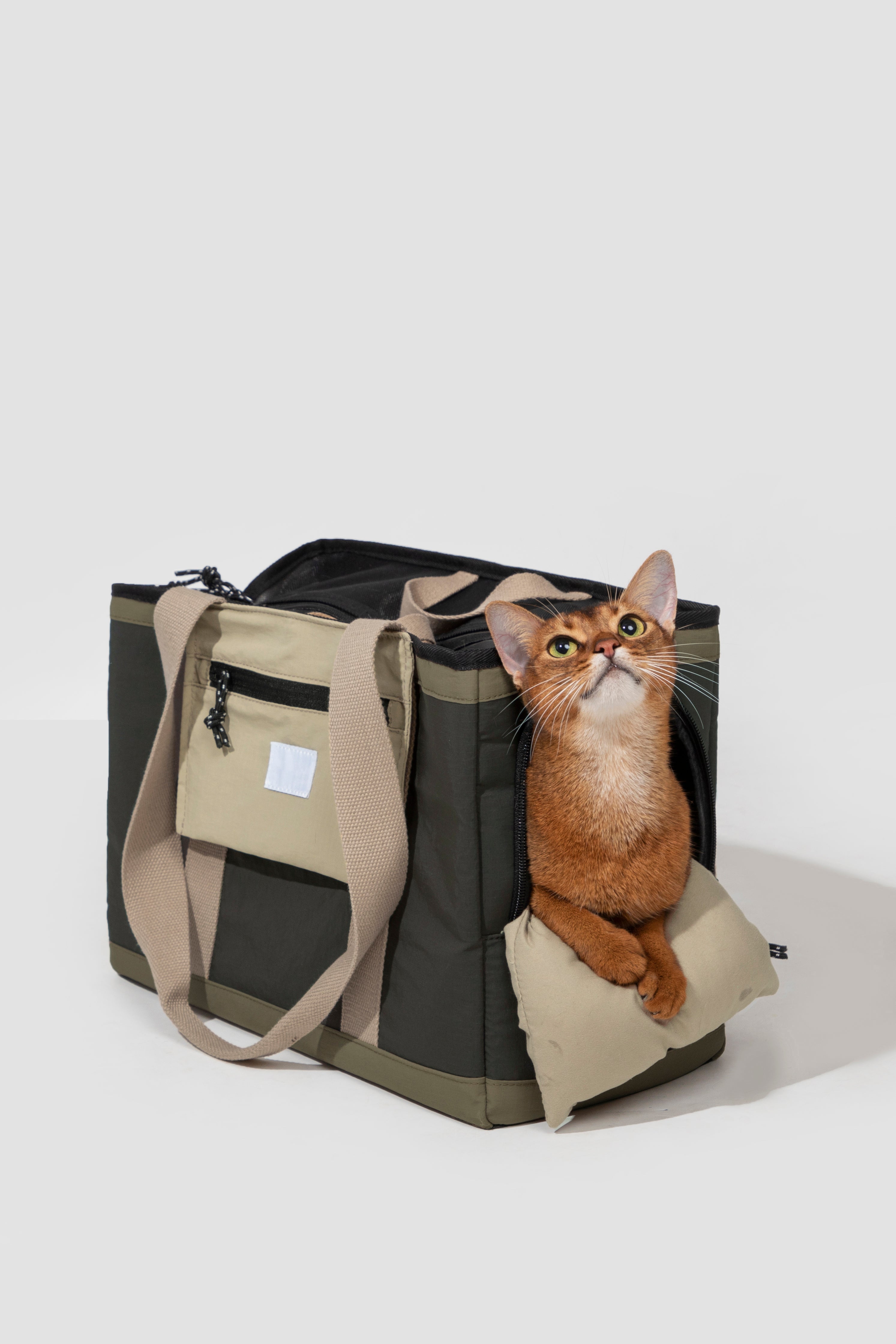 Prioritize safety and ease with Pawsitivity's breathable single-shoulder pet carrier. The safety buckle inside prevents escapes during outdoor activities, and the two-way anti-escape zipper with reflective strips ensures practicality and smooth operation. Weighing only 730 grams, this lightweight bag is a burden-free travel companion, offering peace of mind and comfort for both you and your pet.