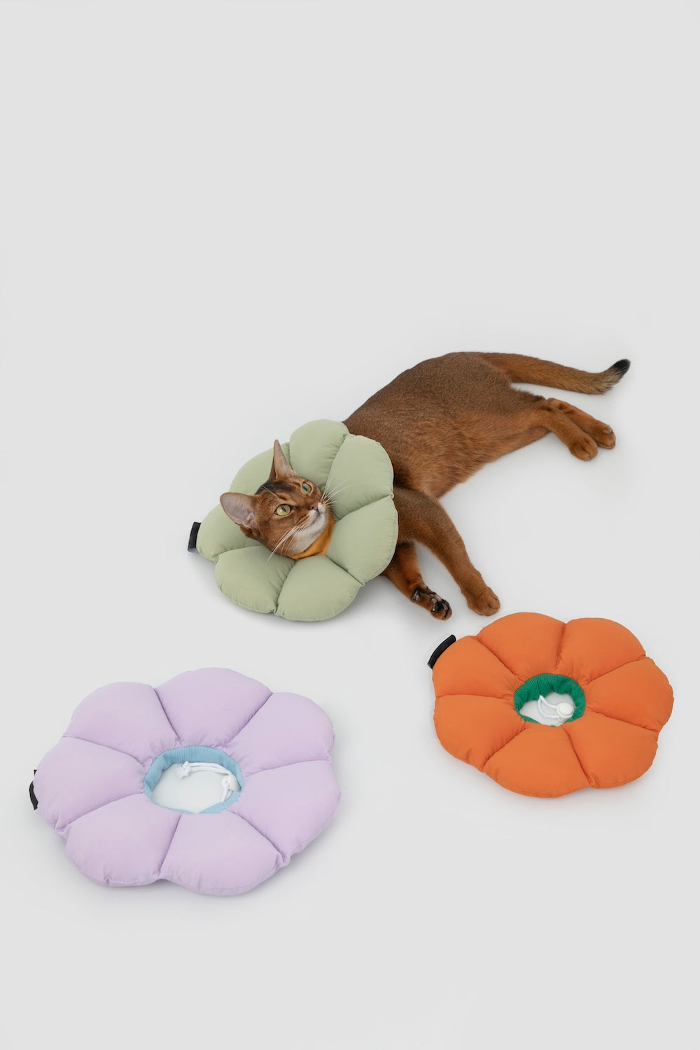 Discover Pawsitivity's Flower Cat Elizabeth Collar: Designed to prioritize your cat's comfort, crafted with soft and lightweight material, eliminating pressure and stress on the cat's neck. Choose from an array of colors to match your pet's personality. Order Yours Today!