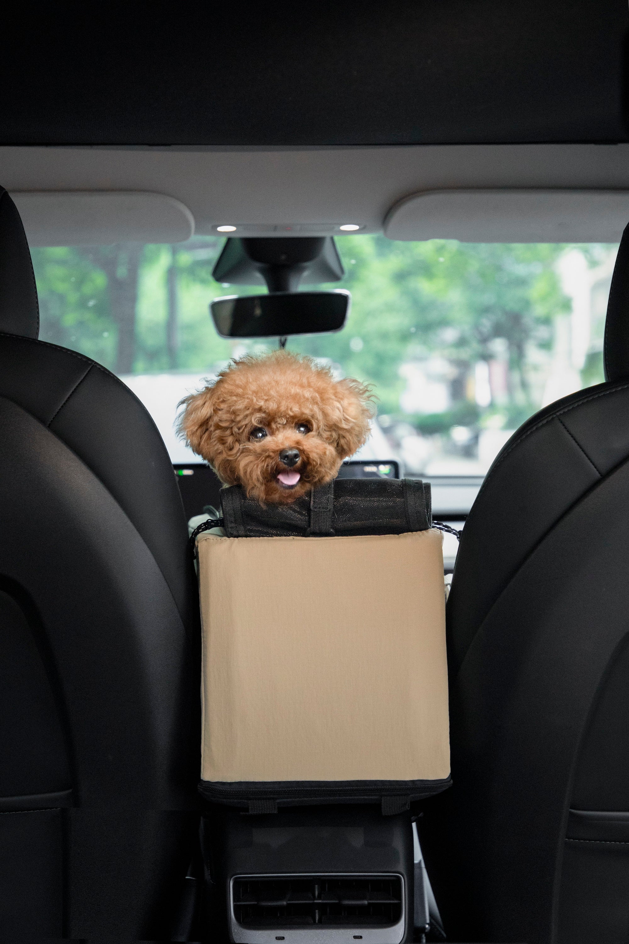 Cat & Dog Car Seat, Center Console Pet Seat