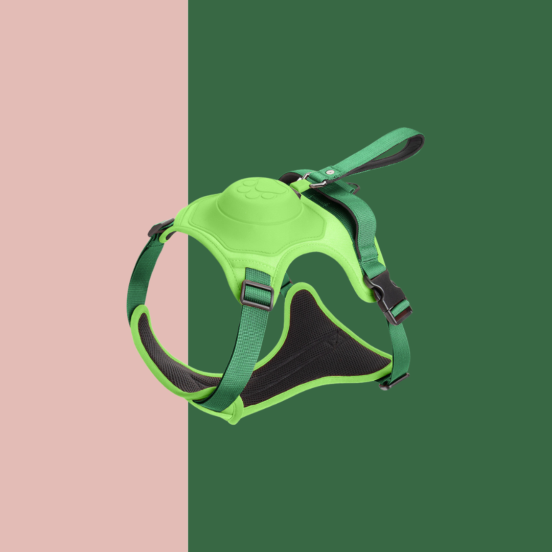 Retractable Dog Leash and Harness Set