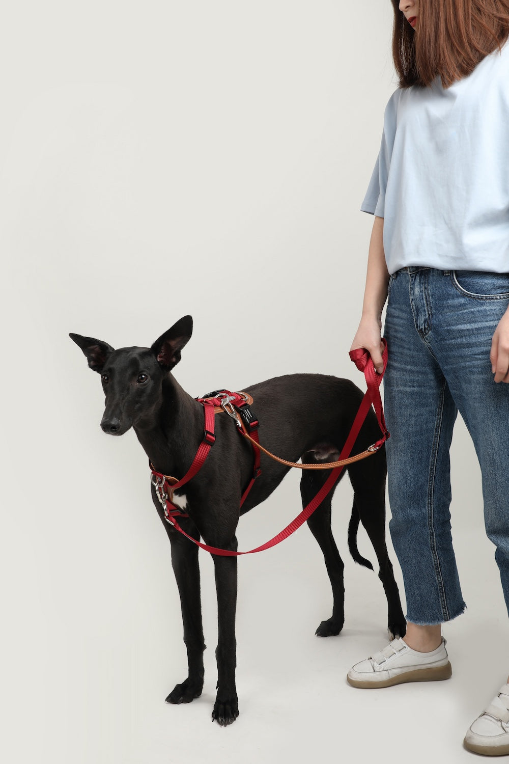 Pawsitivity's H-shape Dog Harness - Designed for Comfort, Crafted for Fashion; Tailored for comfort. Complete the ensemble with a matching leash and poop bag holder. Shop now! Enjoy walking your dog every day. Shop Now!