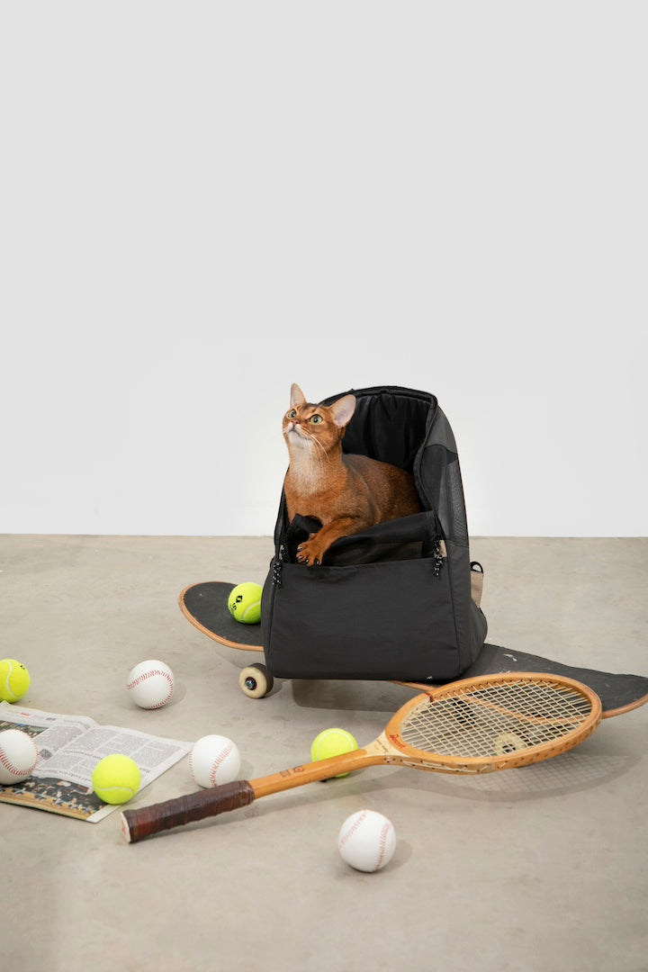 Shop Pawstivity's Pet Travel Backpack: designed with dual shoulder straps and two-way anti-escape zippers; the zippers can be fully opened, making it convenient for feeding, and allowing pets to peek out for more interaction with the owner. Order Yours Today!