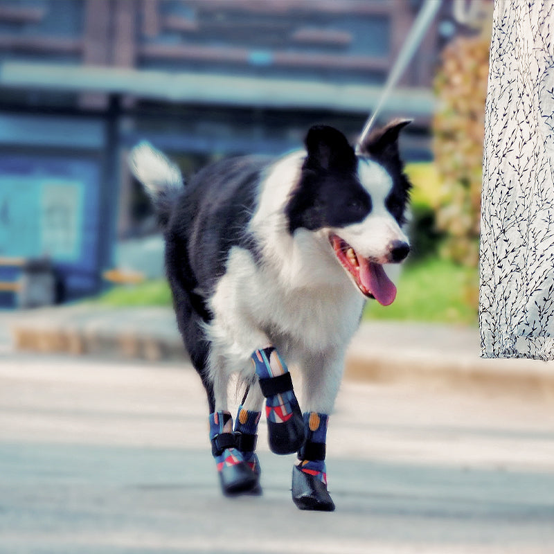 Paw Protection Dog Shoes, Ankle Protector