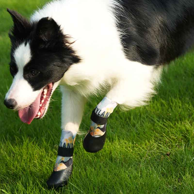 Paw Protection Dog Shoes, Ankle Protector