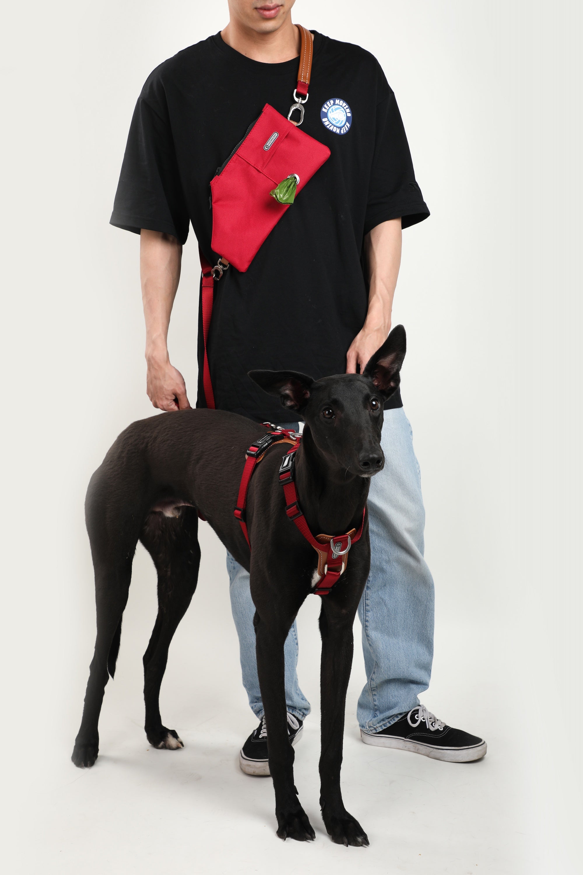 Pawsitivity's Dual Dog Leash - Effortless Control, Premium Design, Walk Your Way. Complete with a matching leather harness and poop bag holder. Walk confidently and with flair!