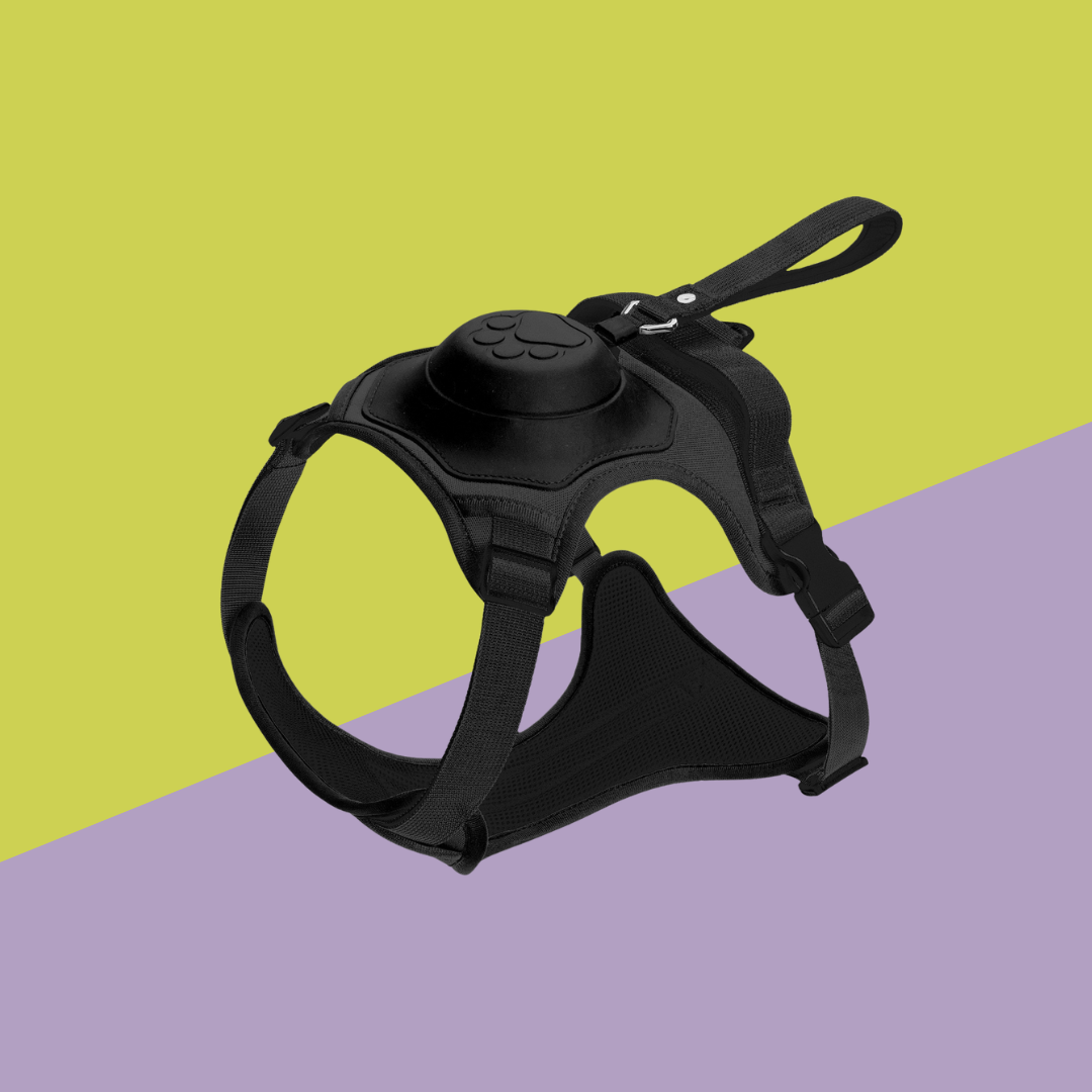 Retractable Dog Leash and Harness Set