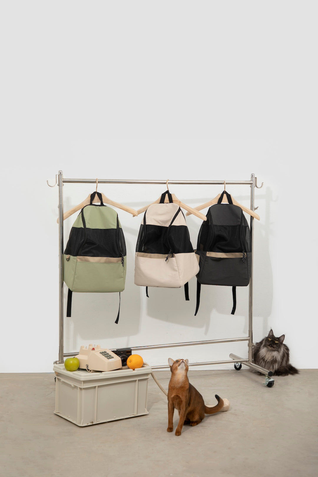 Shop Pawstivity's Pet Travel Backpack: designed with dual shoulder straps and two-way anti-escape zippers; the zippers can be fully opened, making it convenient for feeding, and allowing pets to peek out for more interaction with the owner. Order Yours Today!