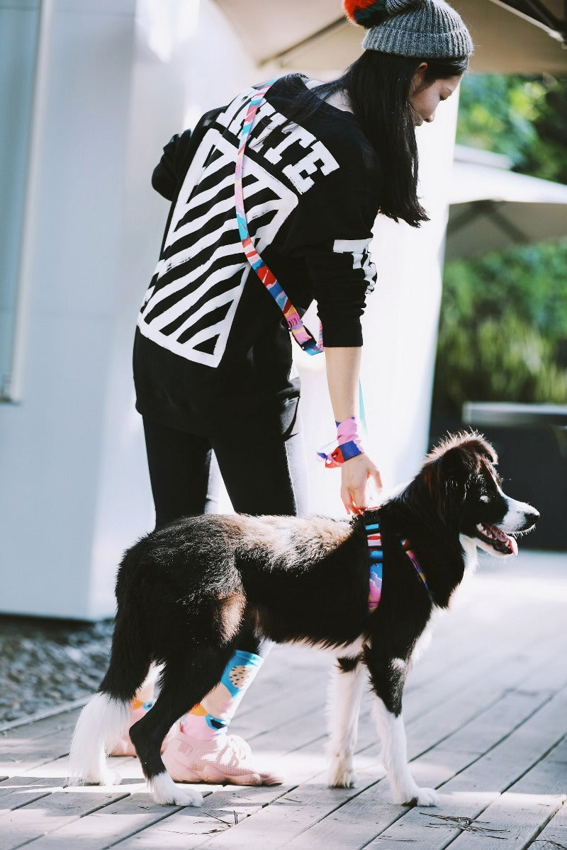 Pawsitivity's Hands-Free Multi-Functional Dog Leash in Sunrise Adventure - Enjoy Long, Short, Waist, and Shoulder Carry Options, Cushioned Spring Absorbs Jerks, Reliable Sturdy Buckle. Shop Now!