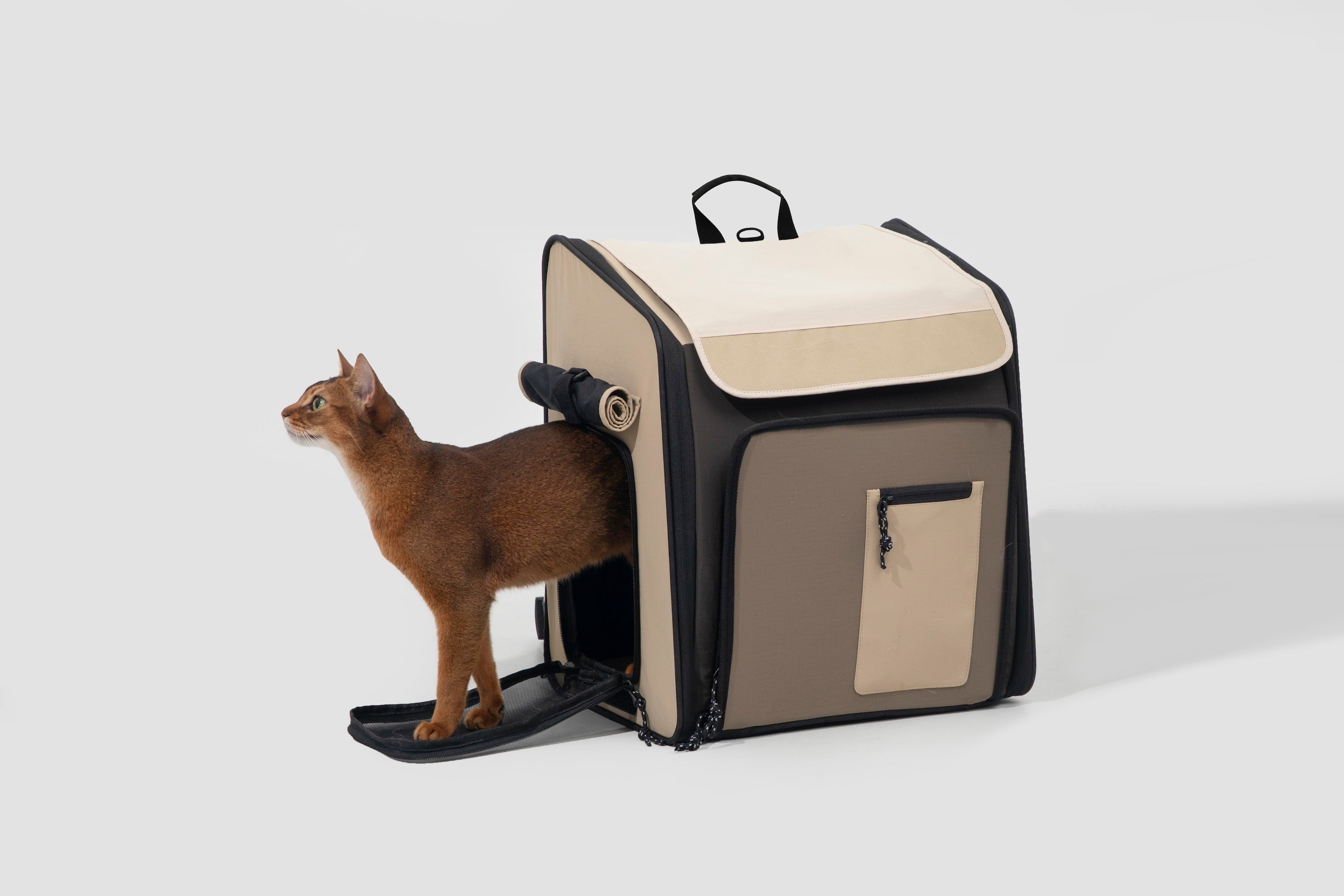 Expandable Pet Carrier, Spacious Dog & Cat Backpack