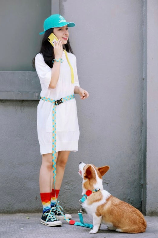 Pawsitivity's Multifunction Dog Leash and Harness Set. Including a Hands-Free multifunctional Dog Leash and a matching X-shape Dog Harness. Perfect for Active Dog Walking. Explore now at Pawsitivity, making your dog walks a breeze. Shop Now!