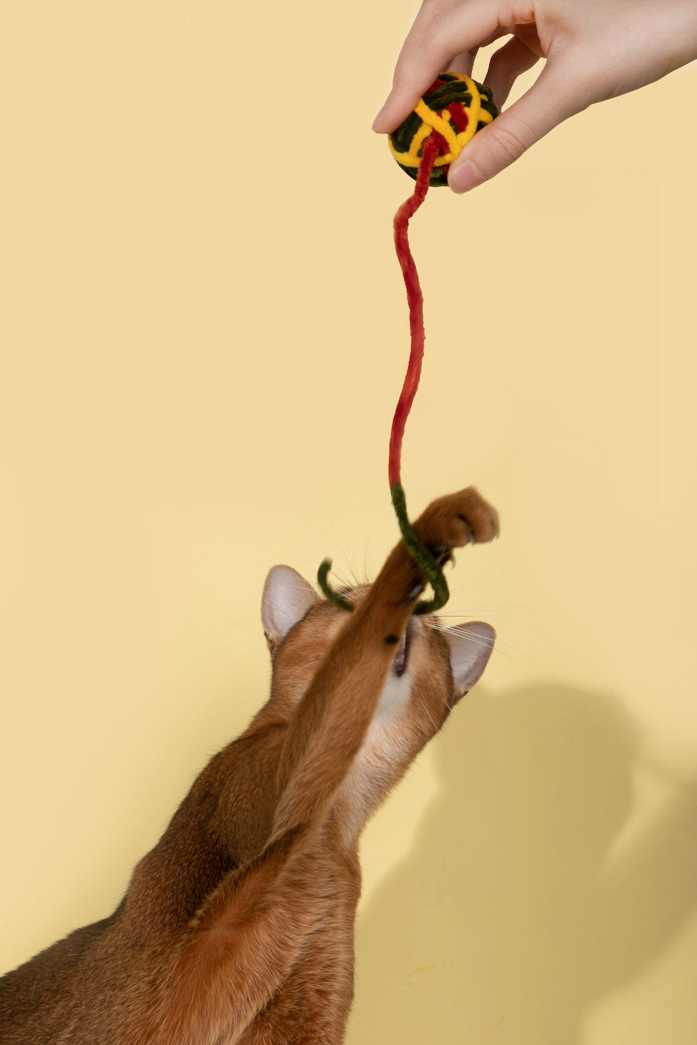 Pawsitivity's Cat Toy: Yarnado - Vibrant Cat Toy with Hidden Bell, Encourages Playful Behavior, Stimulates Hunting Instincts, Ensures Hours of Fun and Exercise. Shop Now!