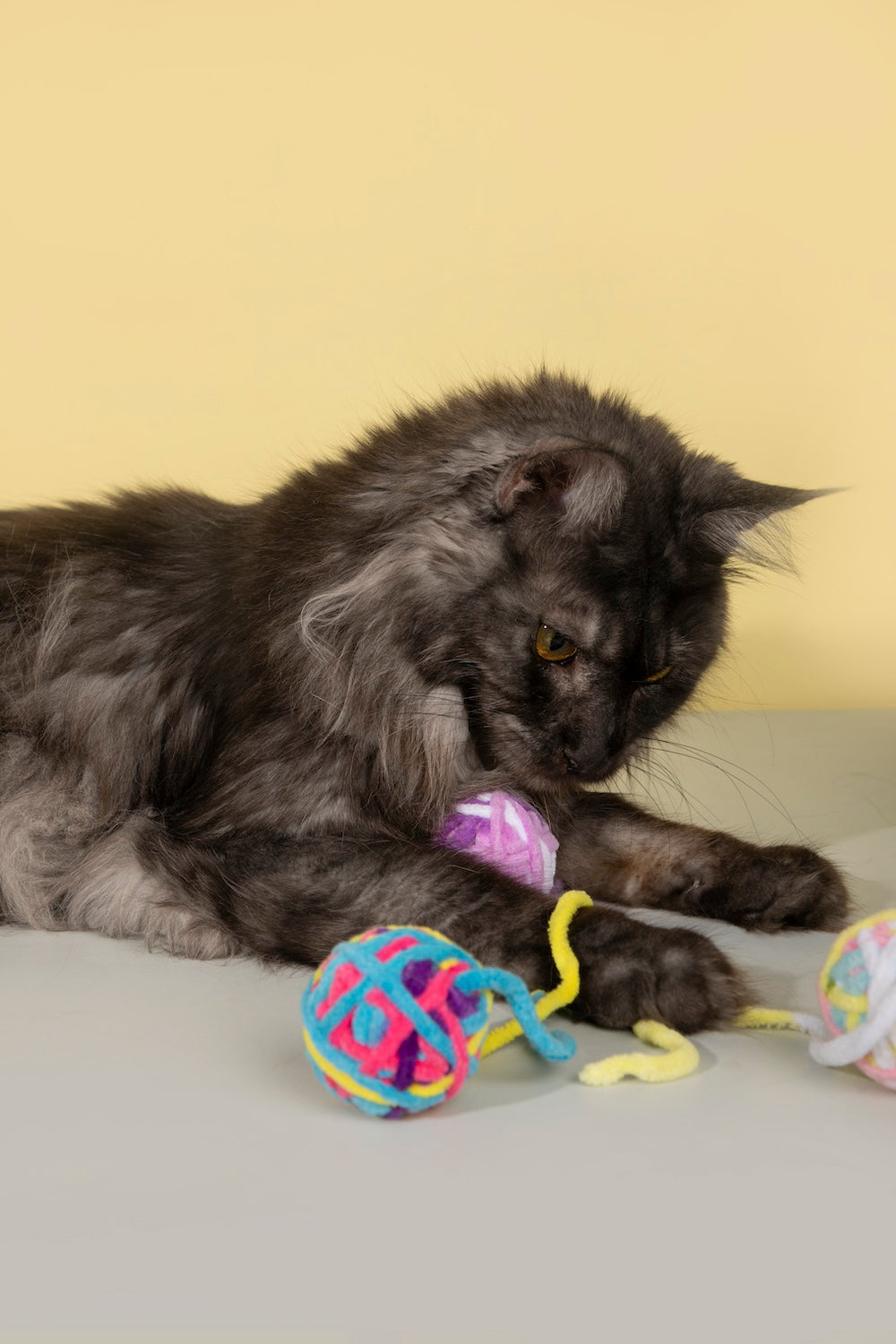 Pawsitivity's Cat Toy: Yarnado - Vibrant Cat Toy with Hidden Bell, Encourages Playful Behavior, Stimulates Hunting Instincts, Ensures Hours of Fun and Exercise. Shop Now!