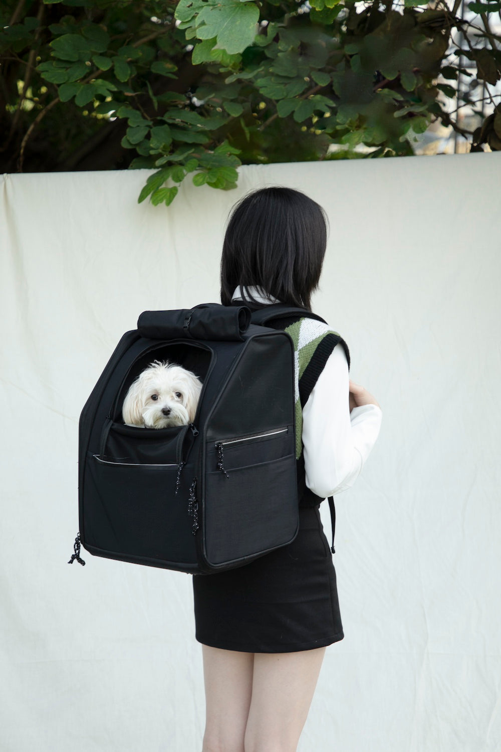 Discover Pawsitivity's high-end Pet Carrier - the Spacious Pet Backpack. It's the ultimate blend of fashion and functionality. Carry your pet in style. Shop now!