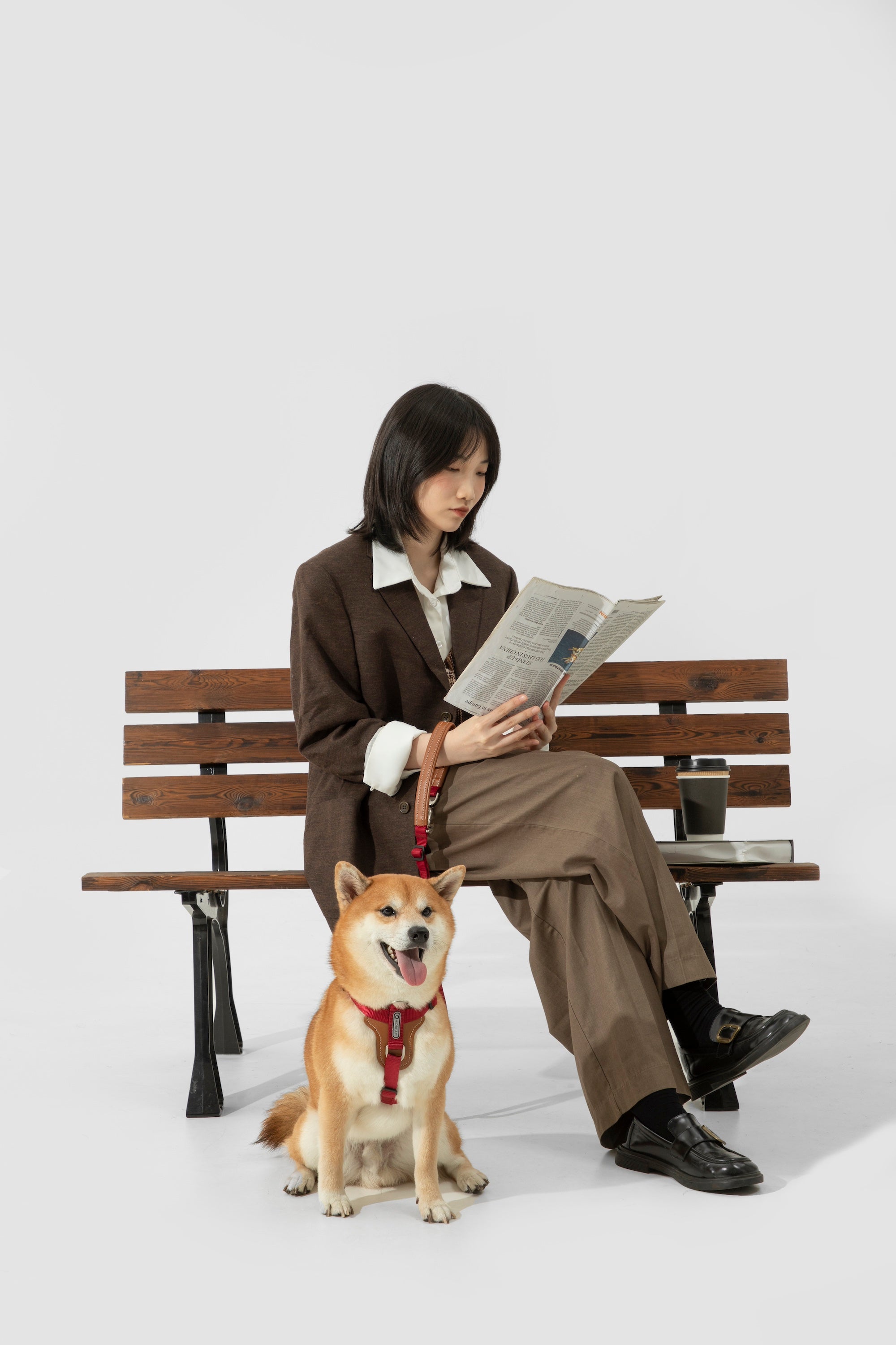  Pawsitivity's Dual Dog Leash - Effortless Control, Premium Design, Walk Your Way. Complete with a matching leather harness and poop bag holder. Walk confidently and with flair!