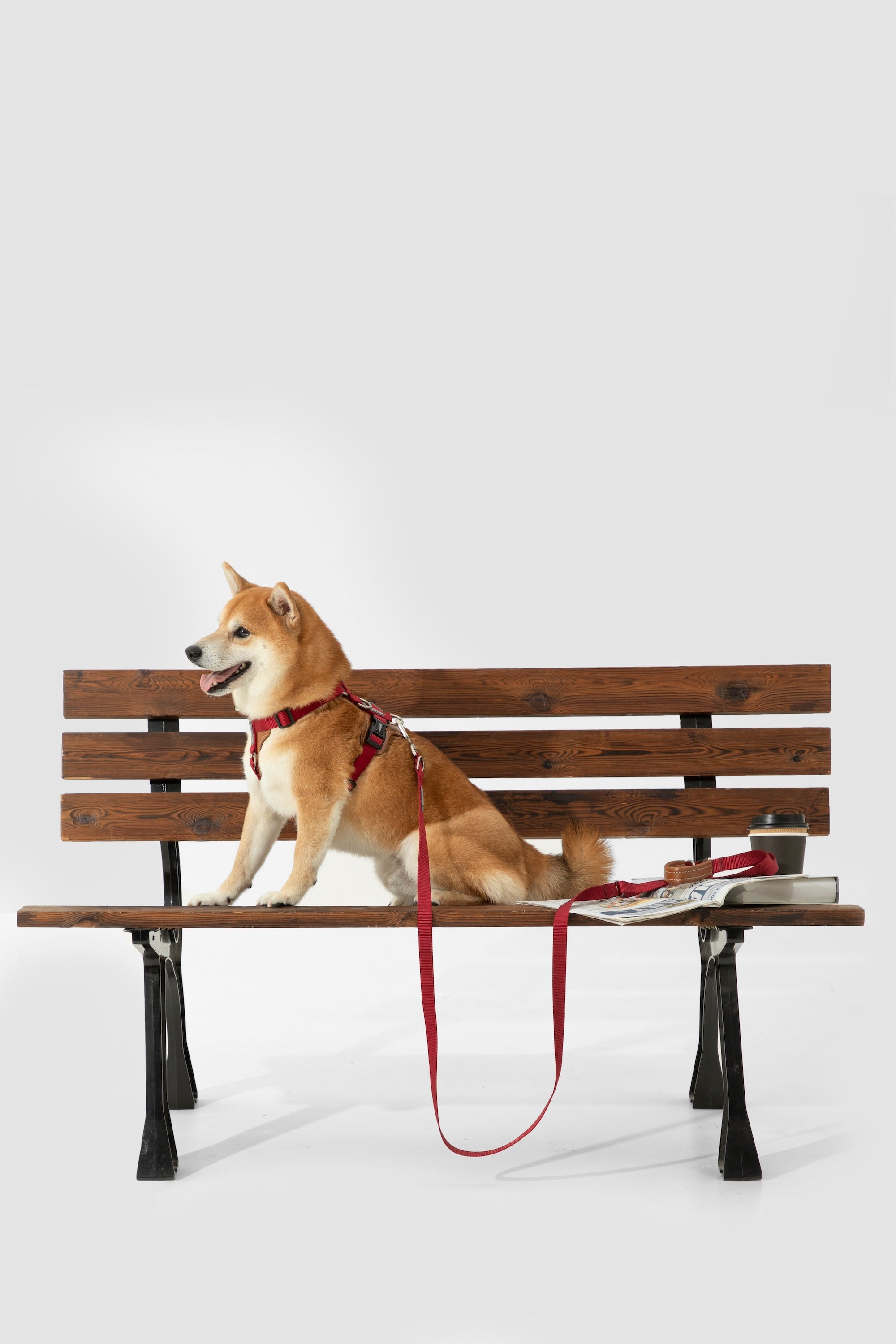 Pawsitivity's Dual Dog Leash - Effortless Control, Premium Design, Walk Your Way. Complete with a matching leather harness and poop bag holder. Walk confidently and with flair!