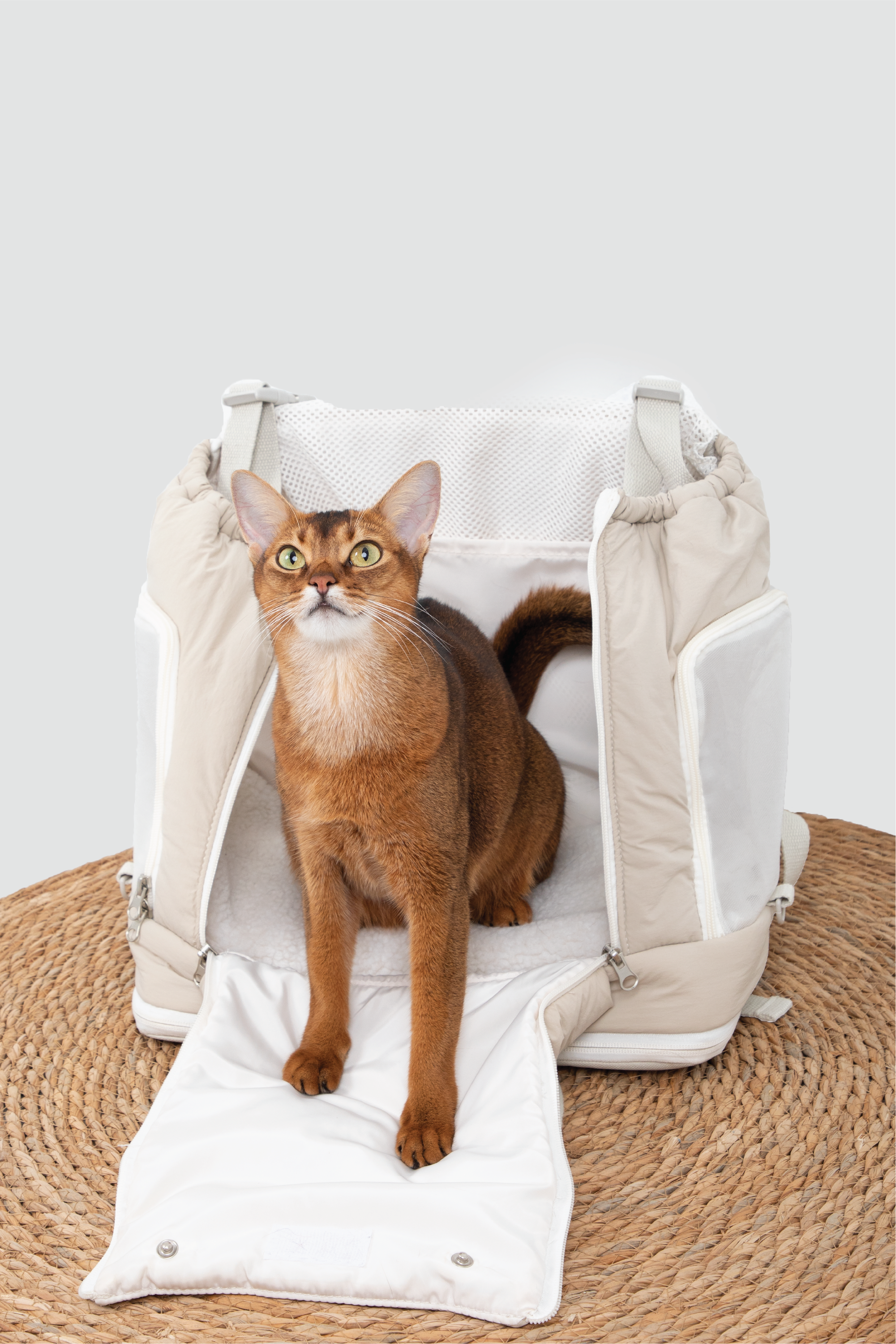 Shop Pawsitivity's Winter Pet Carrier, this backpack pet carrier is packed with practical features, including a spacious front pocket, the roll-up mesh side openings. Plus, the built-in safety leash and waterproof nylon material provide peace of mind, keeping your pet secure and dry wherever you go. Order your for the best deal now!