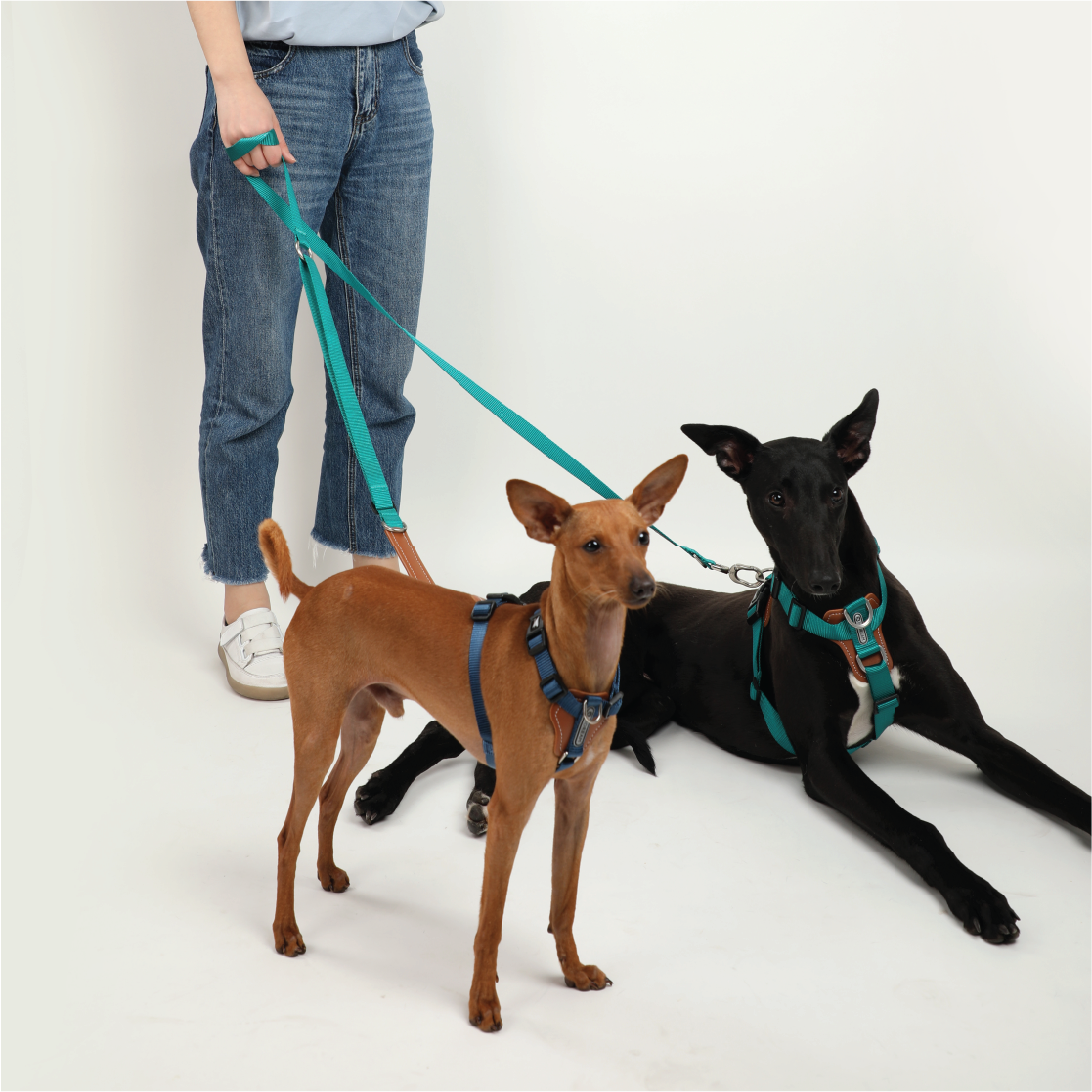 Pawstivity's Pet Travel Backpack: designed with dual shoulder straps and two-way anti-escape zippers; the zippers can be fully opened, making it convenient for feeding, and allowing pets to peek out for more interaction with the owner.