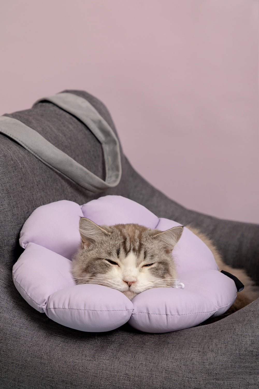 Discover Pawsitivity's Flower Cat Elizabeth Collar: Designed to prioritize your cat's comfort, crafted with soft and lightweight material, eliminating pressure and stress on the cat's neck. Choose from an array of colors to match your pet's personality. Order Yours Today!