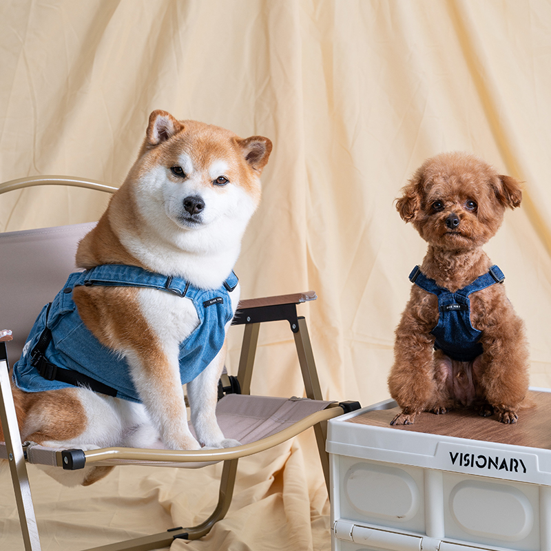 Pawsitivity Campaign-Style Pet Vest - Dress Your Furry Friend in Style