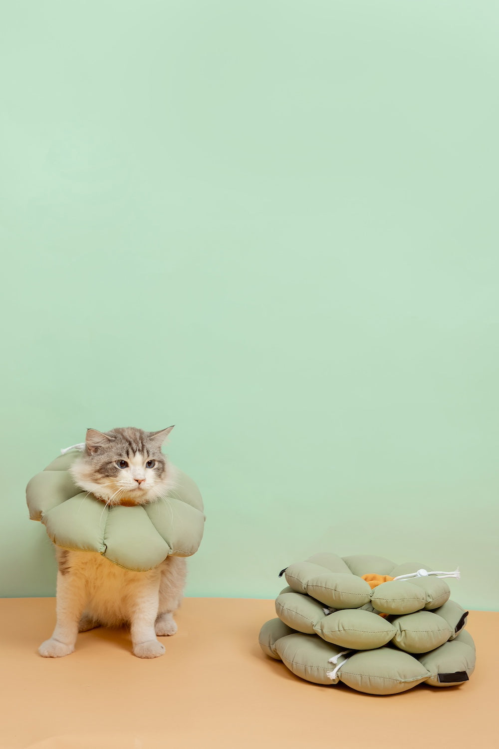 Discover Pawsitivity's Flower Cat Elizabeth Collar: Designed to prioritize your cat's comfort, crafted with soft and lightweight material, eliminating pressure and stress on the cat's neck. Choose from an array of colors to match your pet's personality. Order Yours Today!