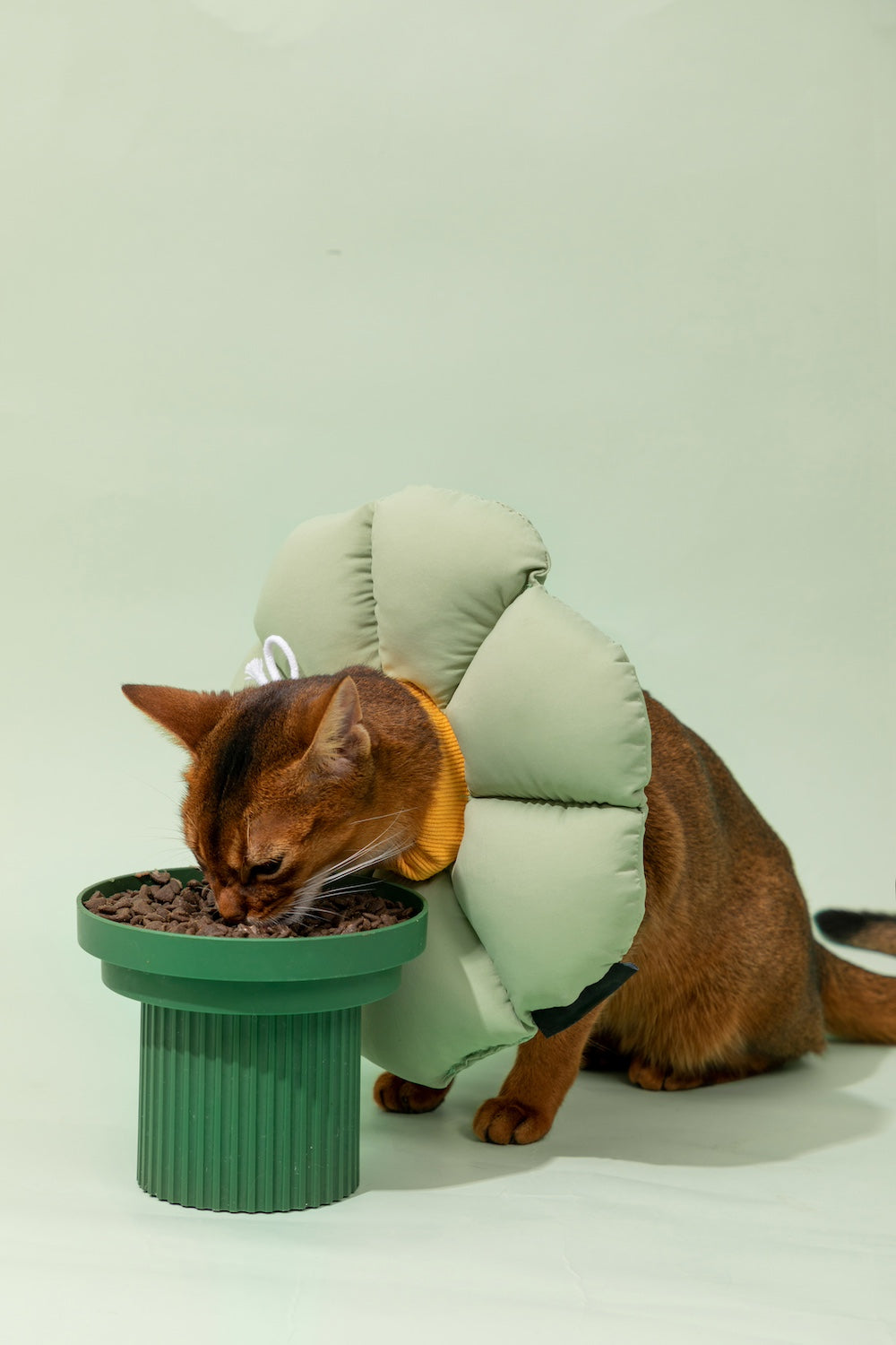 Discover Pawsitivity's Flower Cat Elizabeth Collar: Designed to prioritize your cat's comfort, crafted with soft and lightweight material, eliminating pressure and stress on the cat's neck. Choose from an array of colors to match your pet's personality. Order Yours Today!