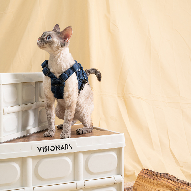 Pawsitivity Pet Outfit: Campaign-Style Pet Vest - Dress Your Furry Friend in Style