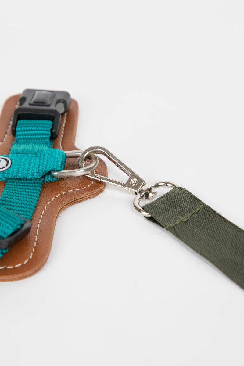 Pawsitivity's super lightweight pet carrier: Your ultimate stylish pet outing bag-lightweight, breathable, and stylish – the perfect blend of safety and comfort for your furry friend's travels.