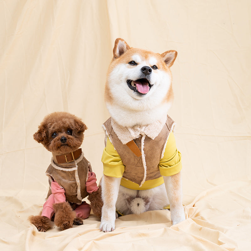 Pawsitivity's Pet Outfit: Warm pet clothing, Maillard-inspired pet wear. Vintage Suede Pet Vest for Cozy Days