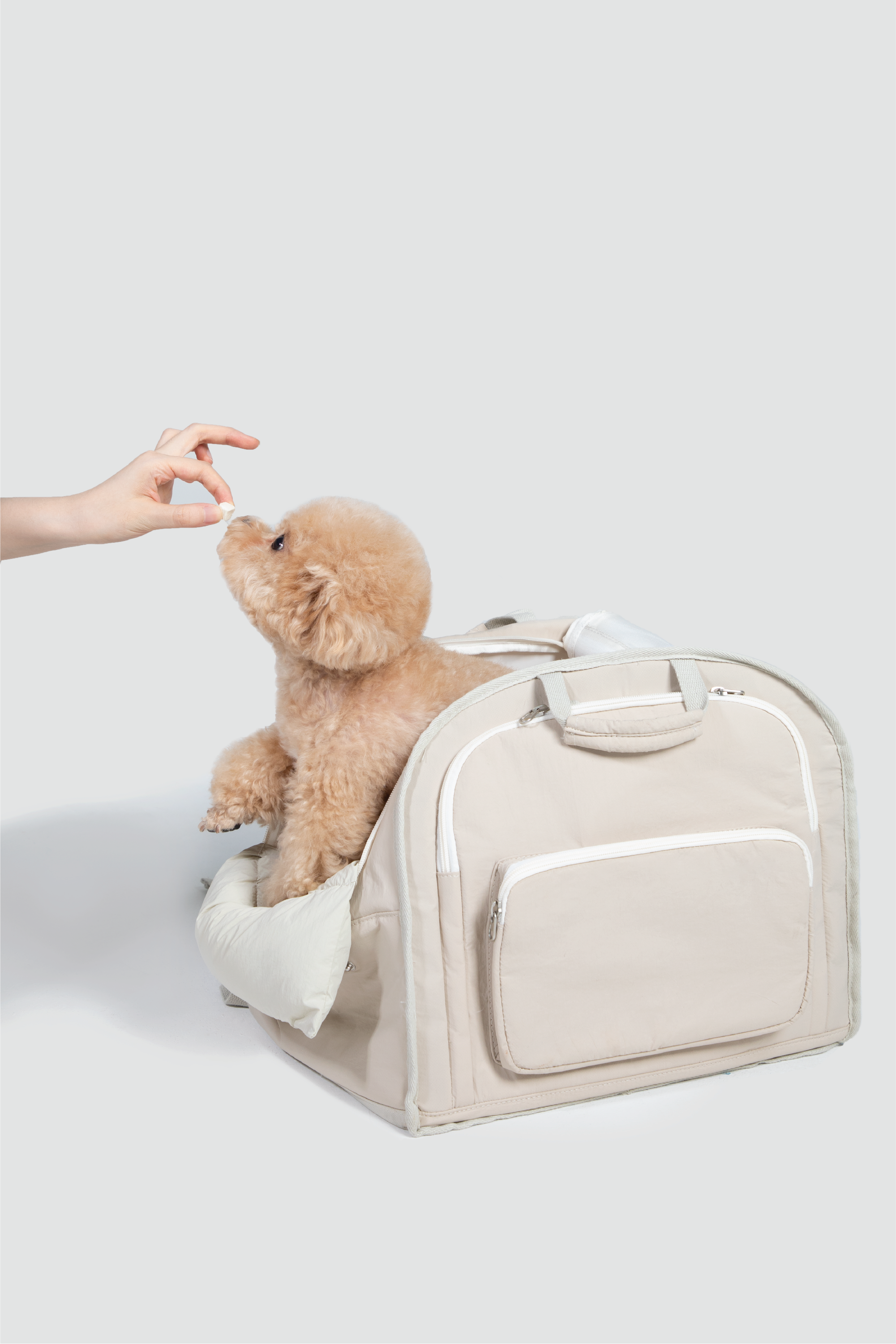 Shop Pawsitivity's Winter Pet Carrier, this pet carrier gives you the flexibility to carry it by hand or wear it as a backpack with padded handles and 7cm wide shoulder straps. A front mesh window ensures your pet gets plenty of fresh air and interaction, while the roll-up side opening enhances ventilation and visibility. Plus, the lightweight design helps reduce travel fatigue, making every trip easier for both you and your pet. Shop Now for Best Price!