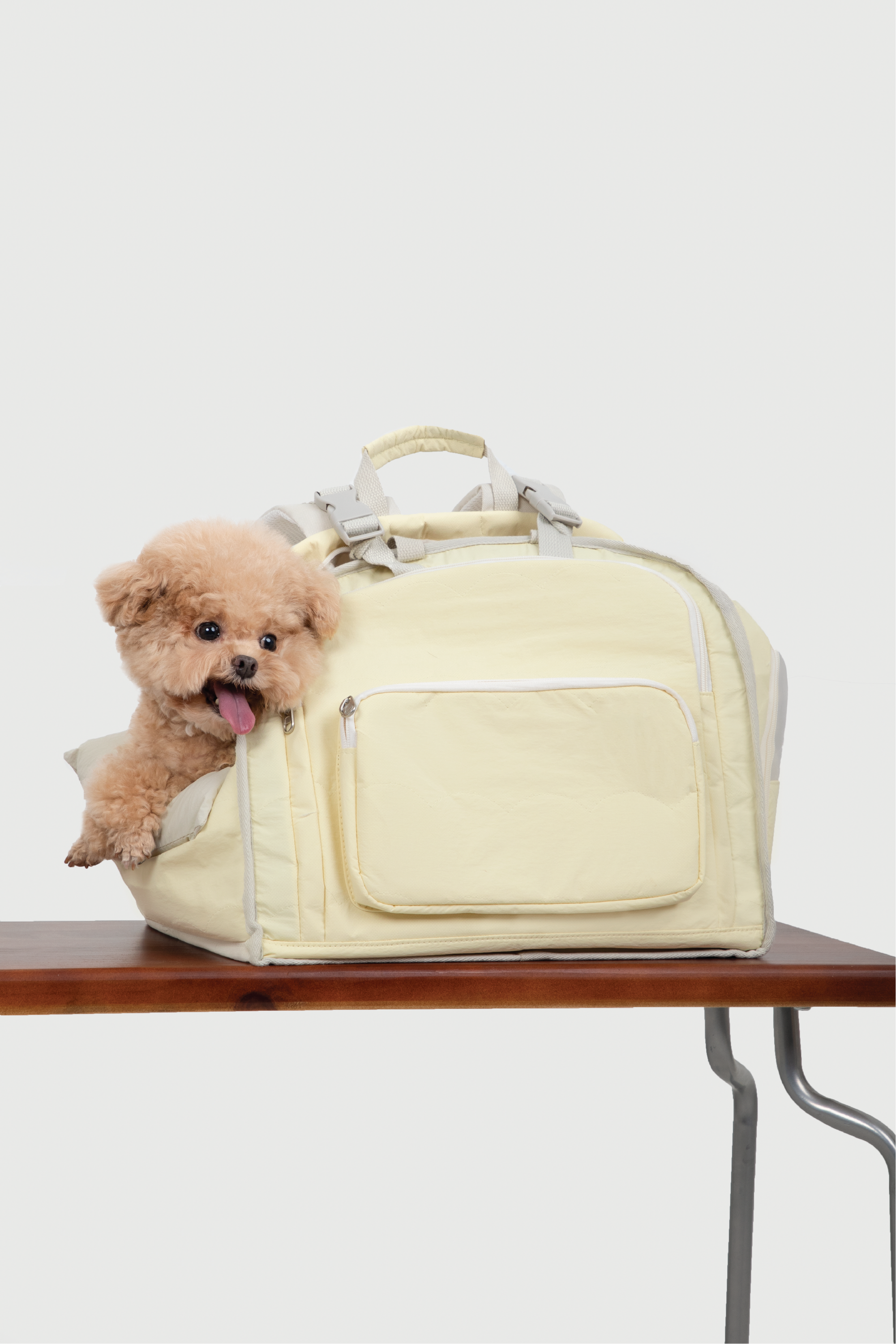 Shop Pawsitivity's Winter Pet Carrier, this pet carrier can be carried by hand or worn as a backpack. The luggage strap on the back makes it a breeze to attach to your suitcase for seamless travel. Made from waterproof nylon fabric to keep your pet dry and comfortable, even on rainy days. Order Yours Today for the Best Pet Carrier.