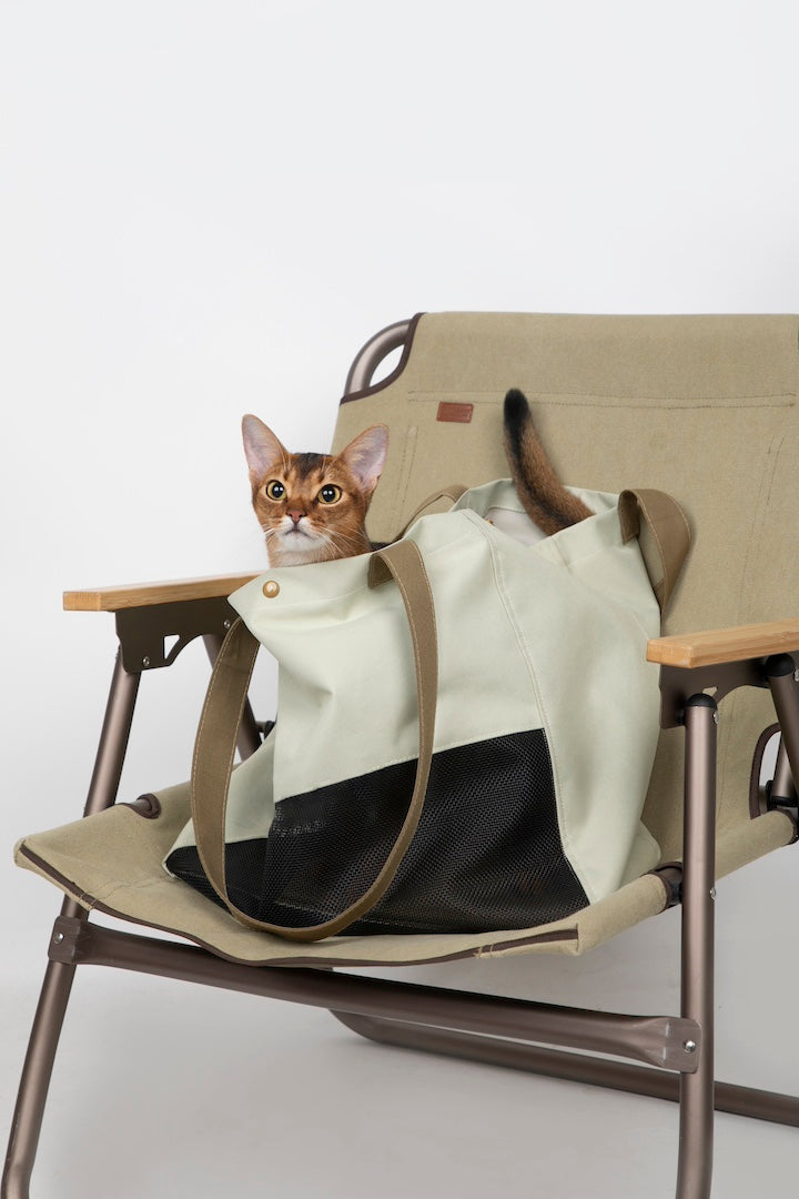 Shop Pawsitivity's super lightweight pet carrier, Breathable, and stylish – the perfect blend of safety and comfort for your furry friend's travels. Order Yours Today!