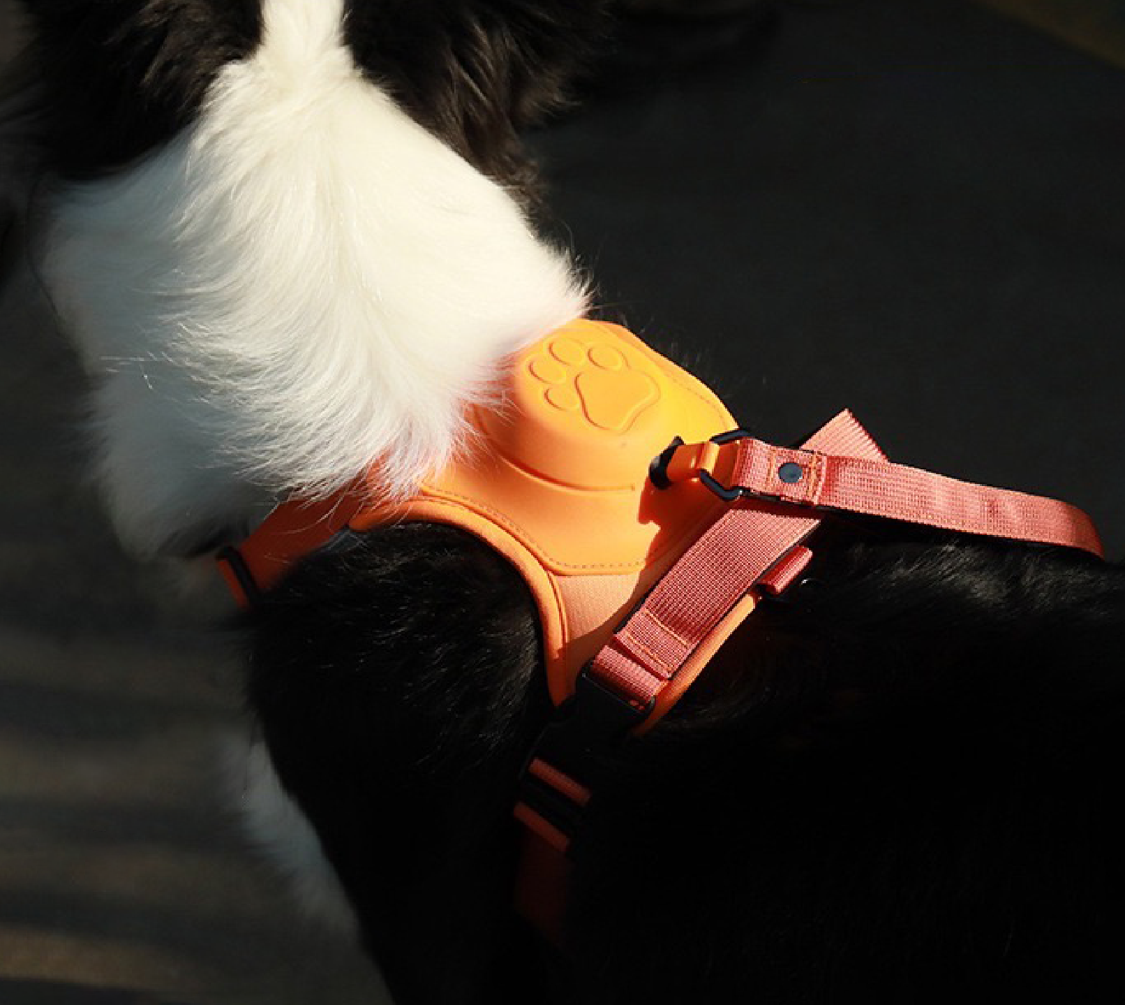 Retractable Dog Leash and Harness Set