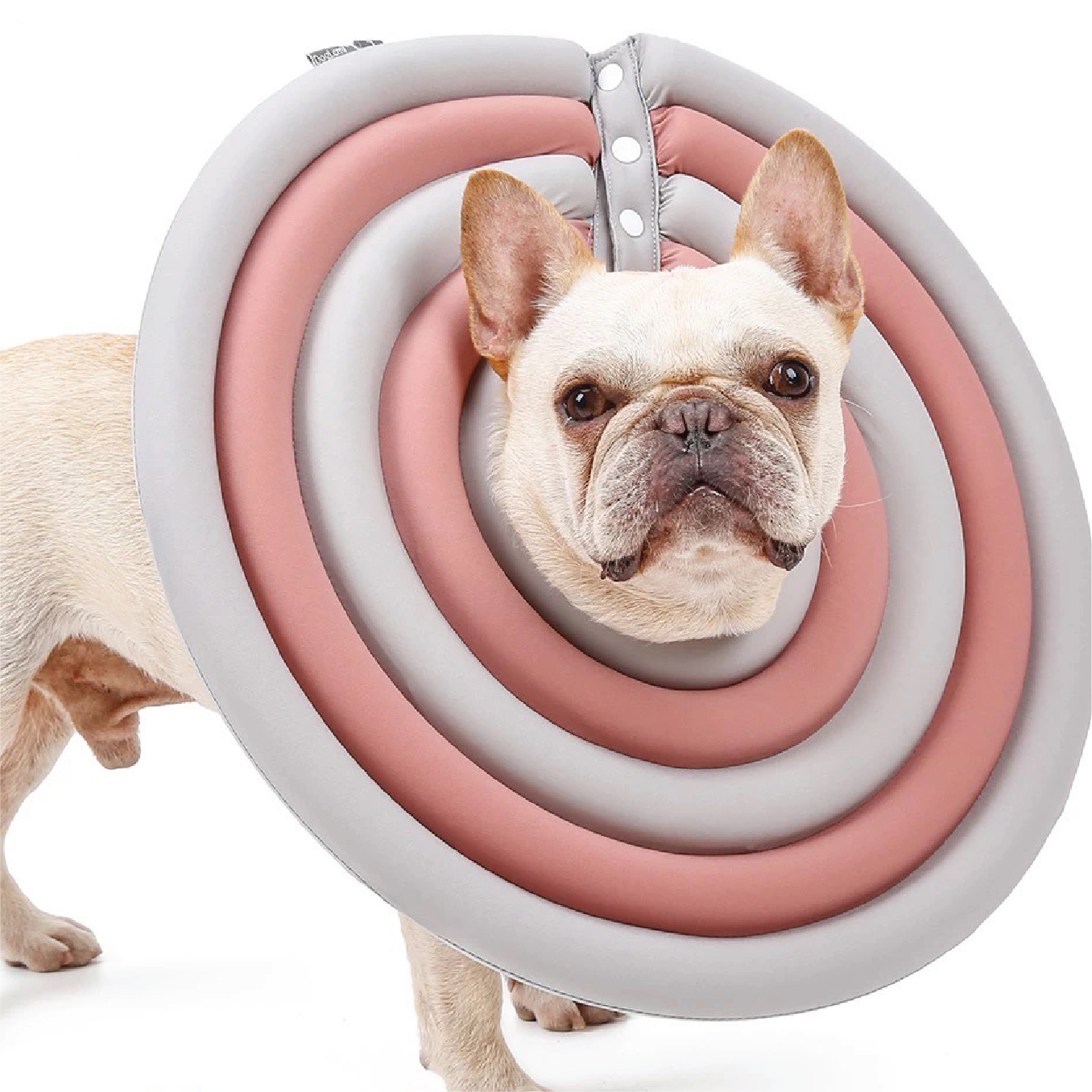 Super Lightweight Pet's E-Collar:ensures a stress-free, enjoyable experience. Choose from an array of colors and sizes. Shop Pawsitivity Toronto - Your Premium Pet Supplies