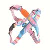 Pawsitivity X-Shape Dog Harness